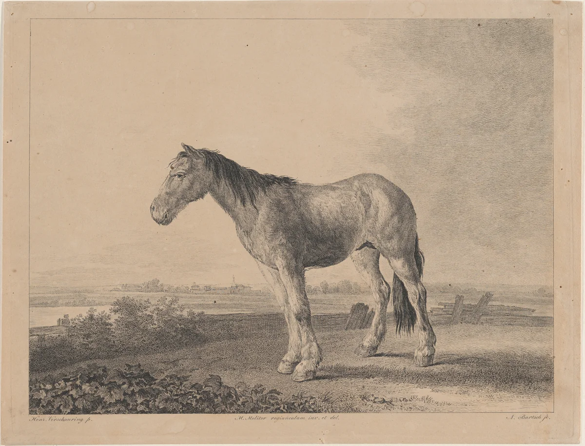 Horse standing on a field in profile to left by Adam von Bartsch, print, 1809