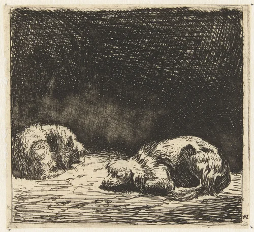 Slapende hond en kat by Karel du Jardin, print, 1652-1659