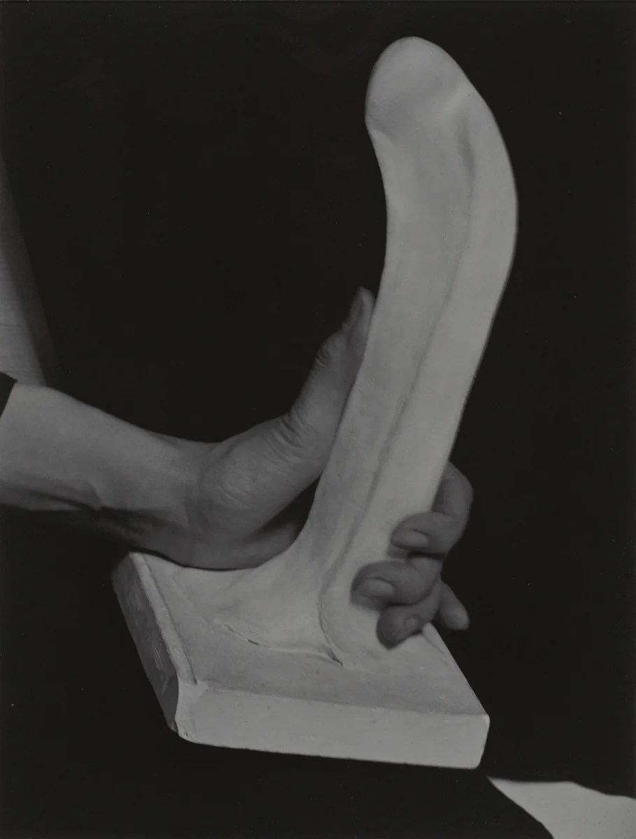 Georgia O'Keeffe—Hand by Alfred Stieglitz, photograph, 1919
