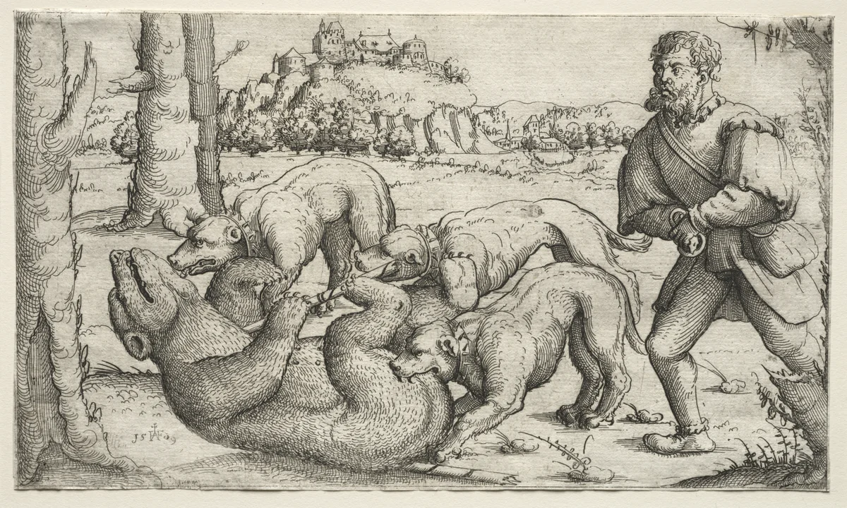 A Bear Hunt by Augustin Hirschvogel, print, 1569