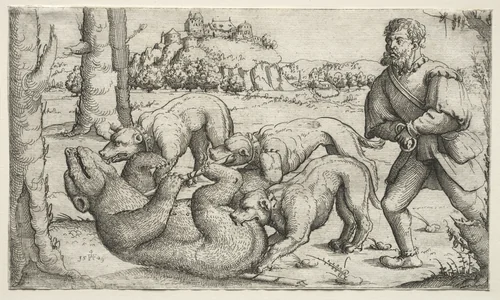 A Bear Hunt by Augustin Hirschvogel, print, 1569