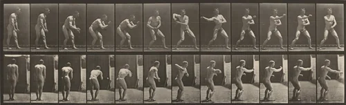 Plate Number 285. Baseball, catching and throwing by Eadweard Muybridge, photograph, 1887