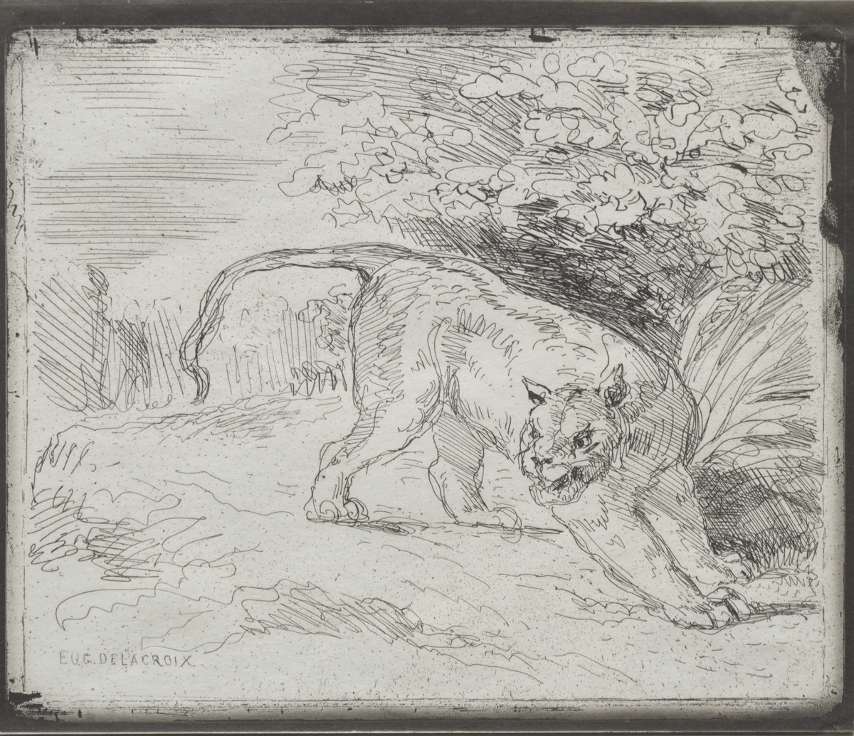 A Trapped Tiger by Eugène Delacroix, print, 1854