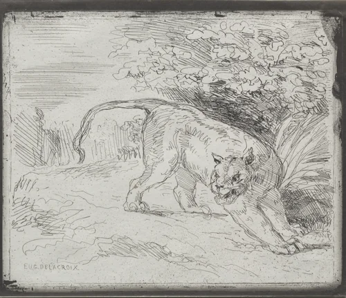 A Trapped Tiger by Eugène Delacroix, print, 1854