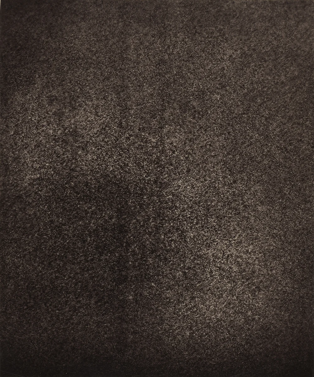 Région Central (Granulations), July 8, 1885, 7h 22m 10s by Jules Janssen, photograph, 1877