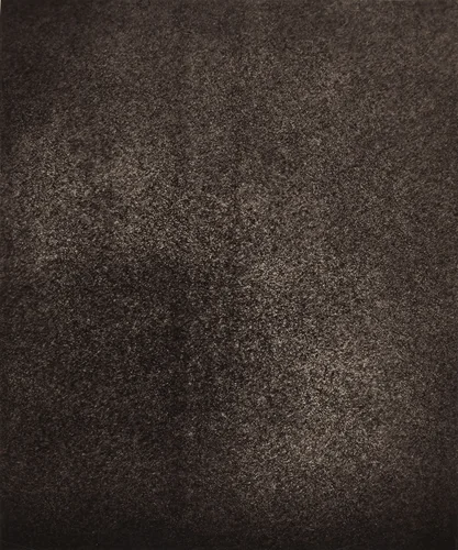 Région Central (Granulations), July 8, 1885, 7h 22m 10s by Jules Janssen, photograph, 1877