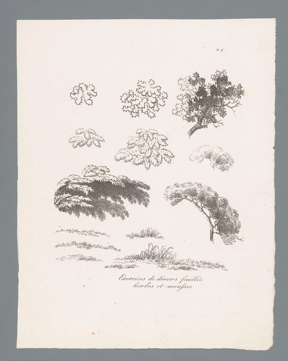 Dertien studies van diverse bladeren, kruiden en mossen by J. Bernard, print, 1820-1833