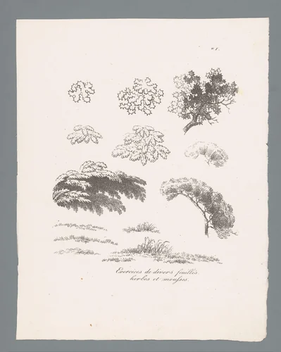 Dertien studies van diverse bladeren, kruiden en mossen by J. Bernard, print, 1820-1833