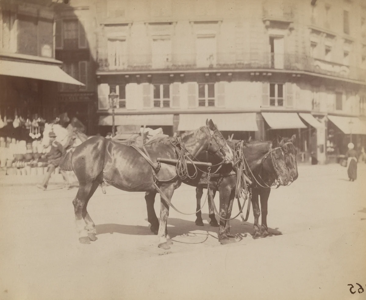 Untitled by Eugène Atget, photograph, 1899