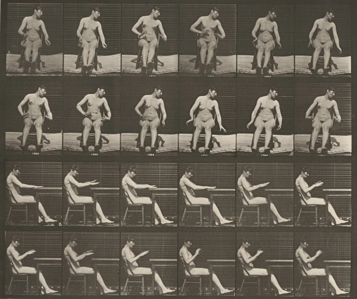 Plate Number 545. Artificially induced convulsions, sitting by Eadweard Muybridge, photograph, 1887