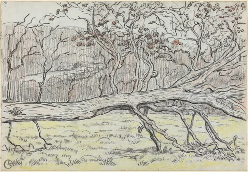 Felled Tree, Normandy by Georges Lacombe, drawing, 1898
