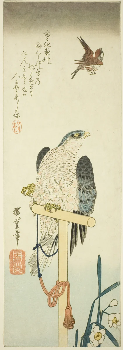 Falcon, sparrow, and narcissus by Utagawa Hiroshige (歌川広重), print, 1830-1839