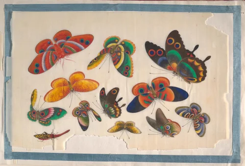Album Containing Twelve Paintings of Insects by Unidentified Artist, painting, 1800-1899
