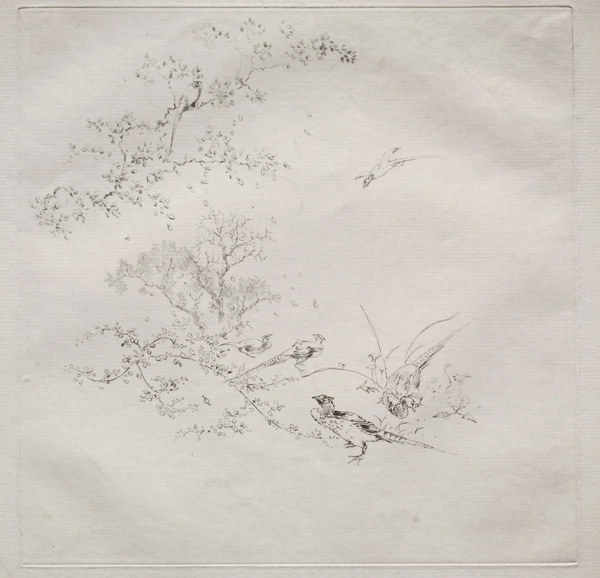 Parisian Service (Haviland service) by Félix Bracquemond, print, 1875