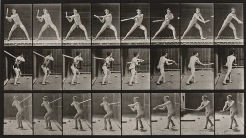 Plate Number 276. Baseball, batting by Eadweard Muybridge, photograph, 1887