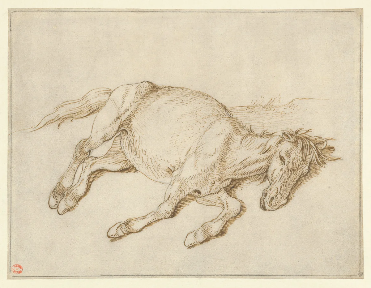 A Horse Lying on its Side by Sinibaldo Scorza, drawing, 1620-1629