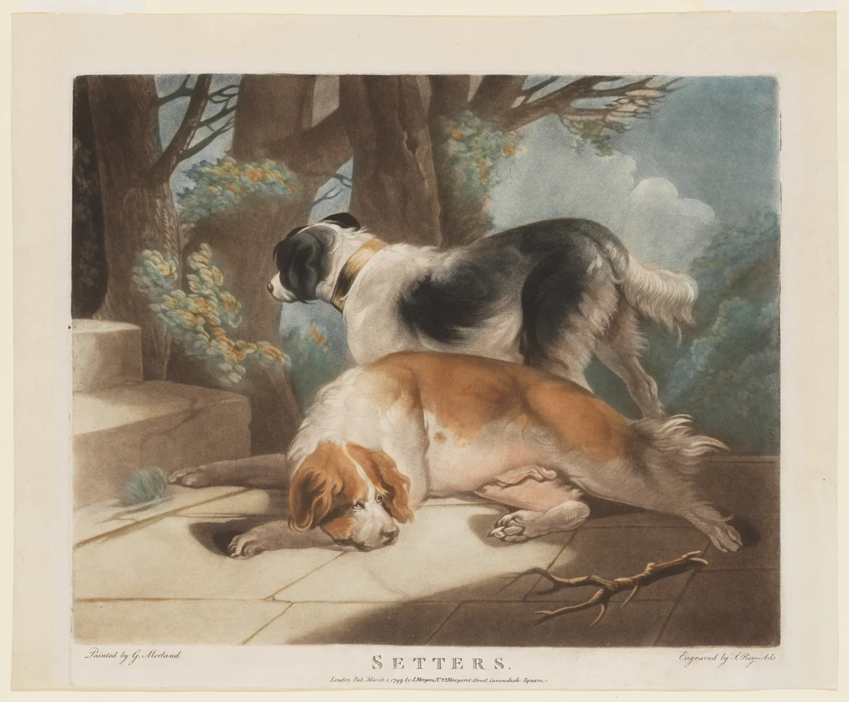 Setters by Samuel Reynolds, print, 1794-1804