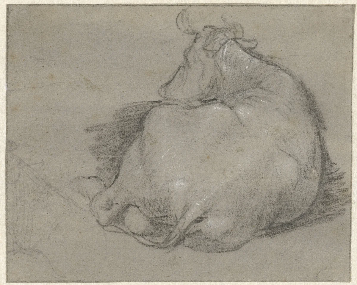 Liggende koe, van achteren gezien by anonymous, drawing, 1600-1699