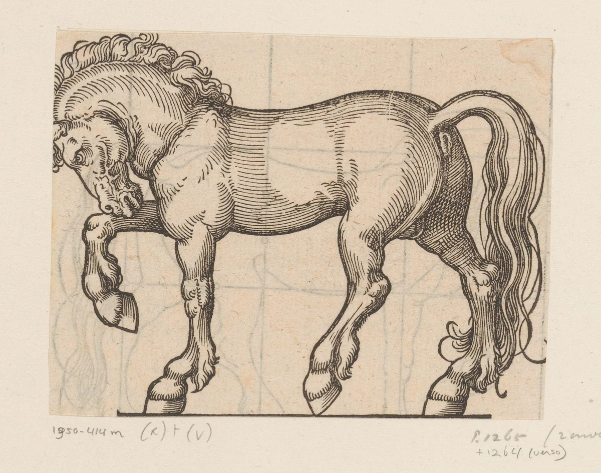 Model voor een paard by anonymous, print, 1565