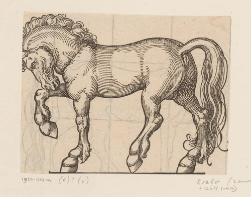 Model voor een paard by anonymous, print, 1565