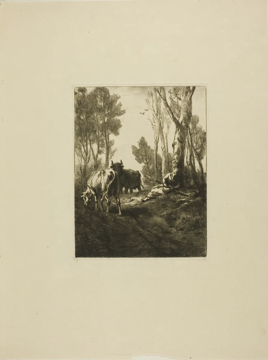 Cowherd by Charles-Émile Jacque, print, 1833-1894
