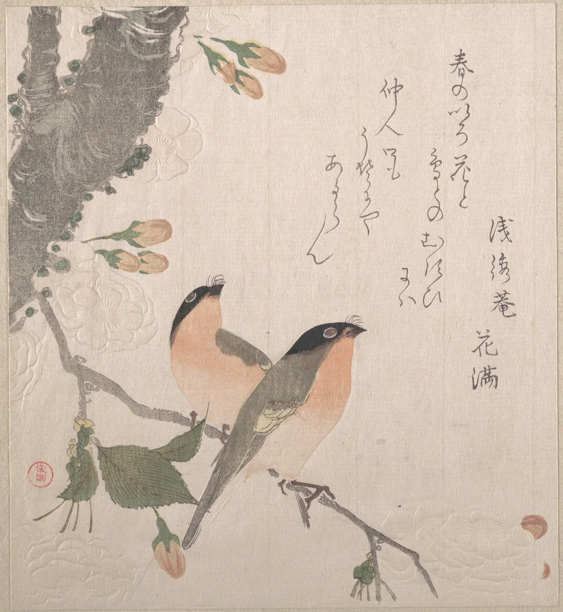 Bullfinches and Cherry Blossoms by Kubo Shunman (窪俊満), print, 1800-1899
