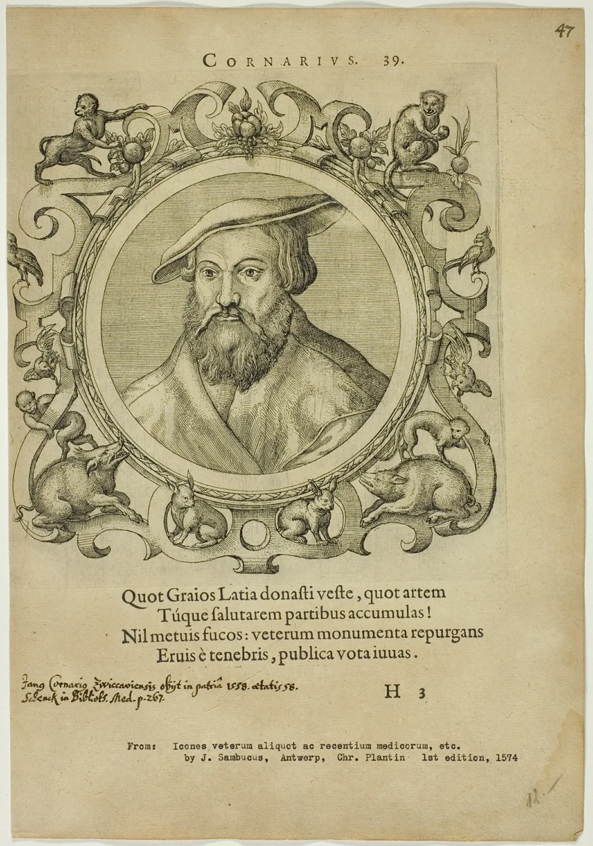 Portrait of Cornarius by Unknown Artist, print, 1574