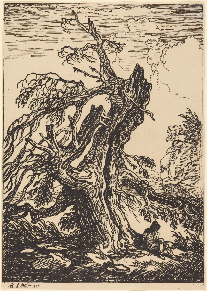 Study of a Tree by Raphael Lamar West, print, 1802