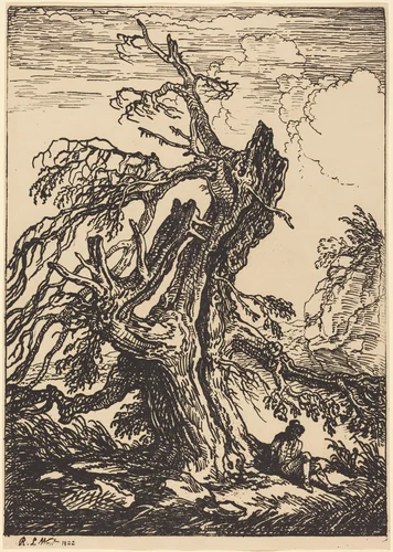 Study of a Tree by Raphael Lamar West, print, 1802