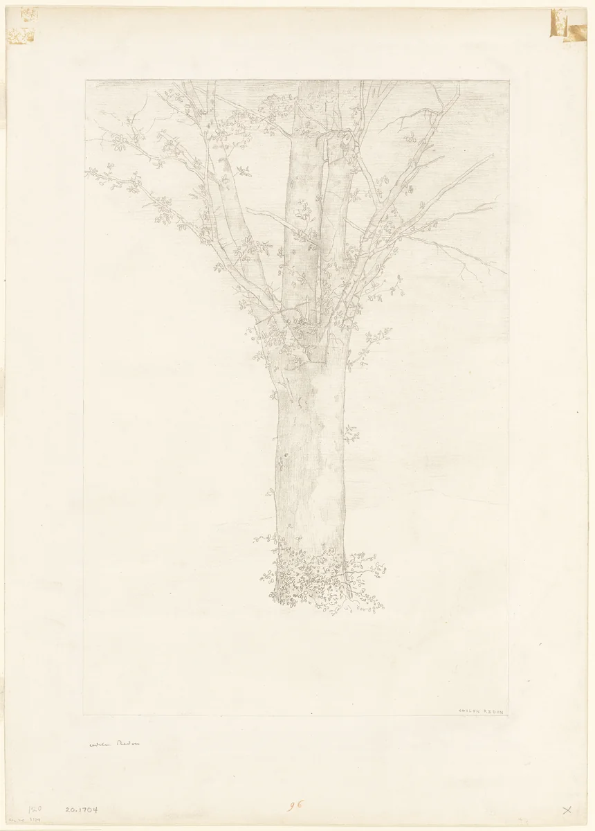 Tree by Odilon Redon, print, 1892