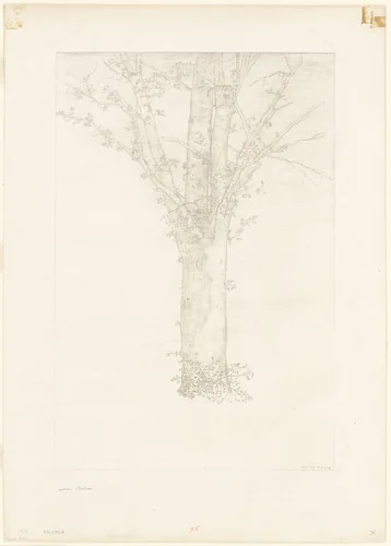Tree by Odilon Redon, print, 1892