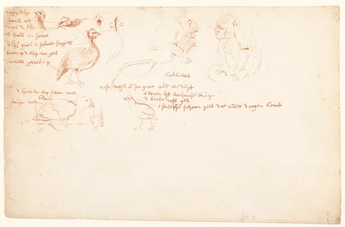 Studie van twee apen en een aantal parelhoenders by anonymous, drawing, 1700