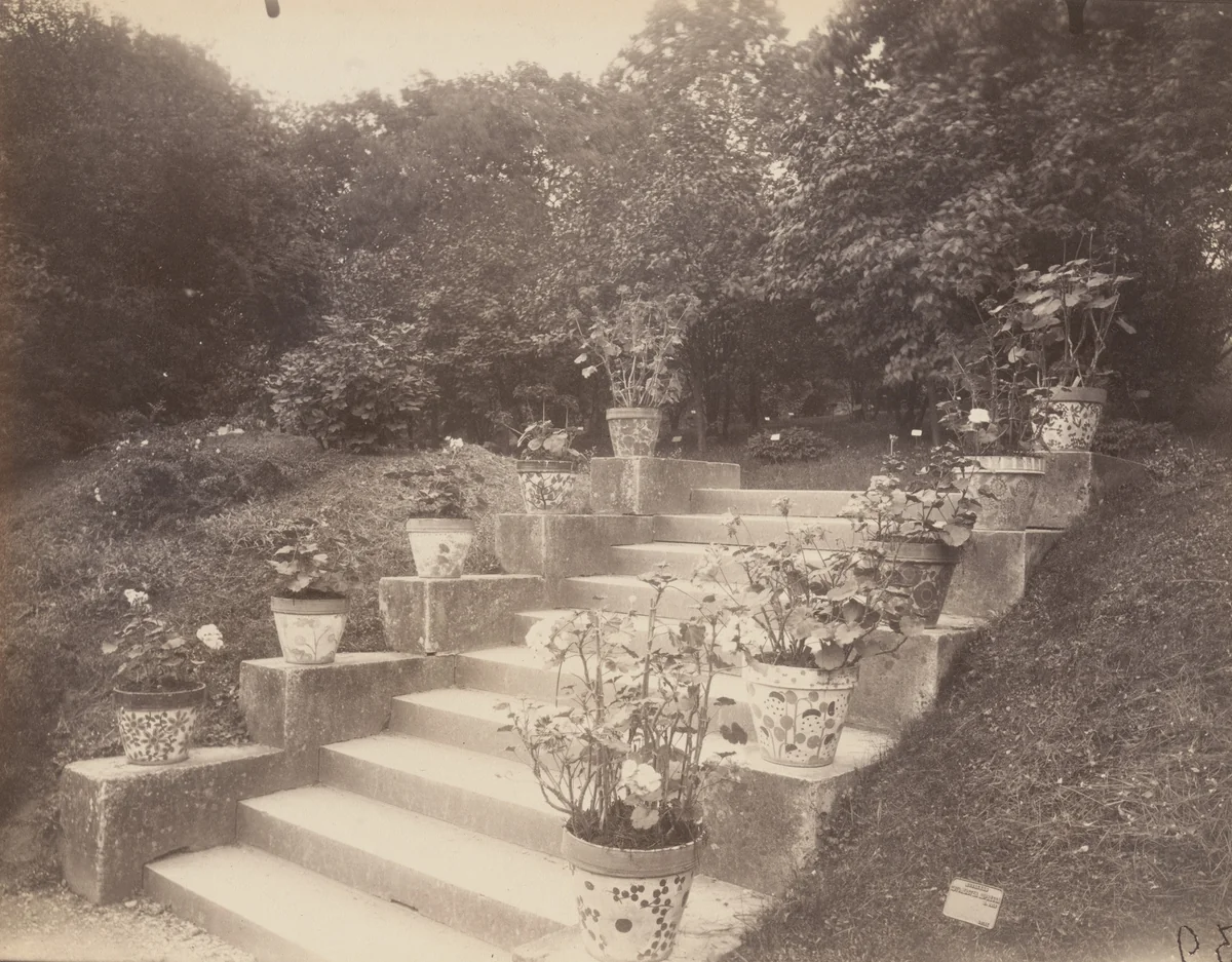 Bagatelle by Eugène Atget, photograph, 1923