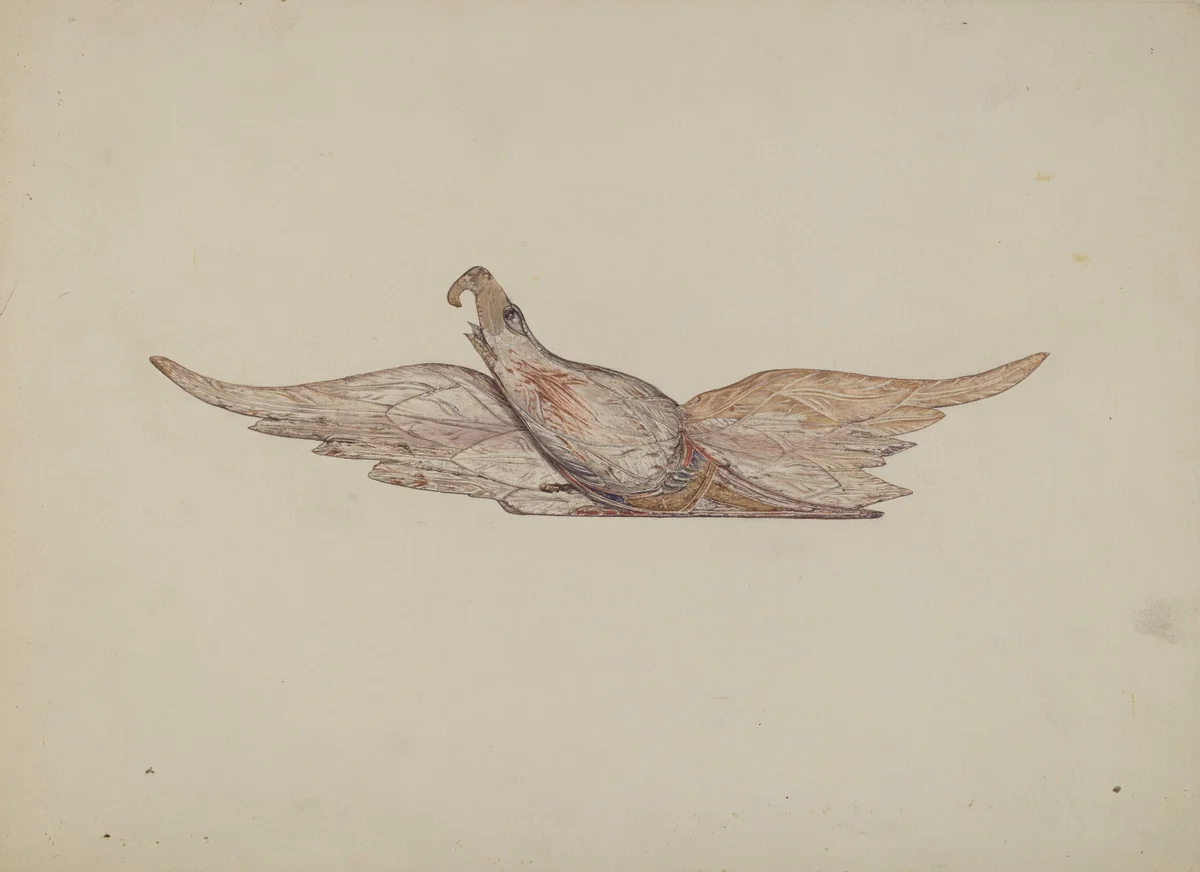 Small Carved Bellamy Eagle by Harriette Gale, index of american design, 1939