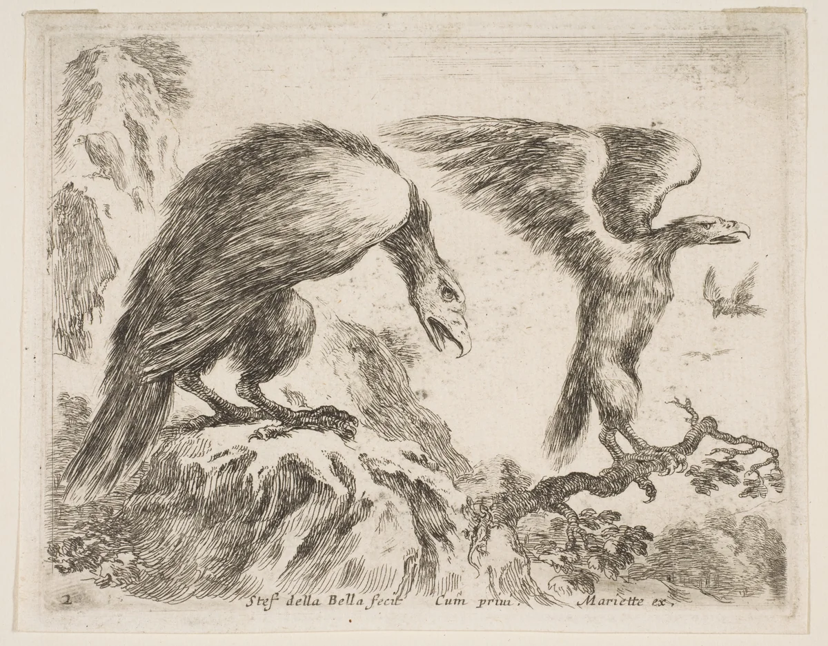 Eagle and eaglet, plate 2 from "Various Animals" (Diversi Animali) by Stefano della Bella, print, 1636-1646