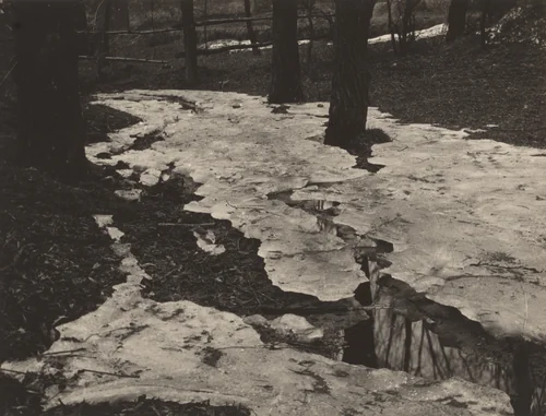 Snowscape near Zinnwald by Hugo Erfurth, photograph, 1896
