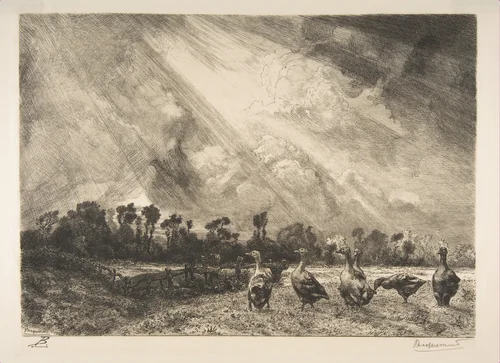 La Nuée d'orage by Félix Bracquemond, print, 1882-1884