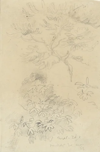 Studieblaadje met roze kastanje by Eugène Delacroix, drawing, 1853