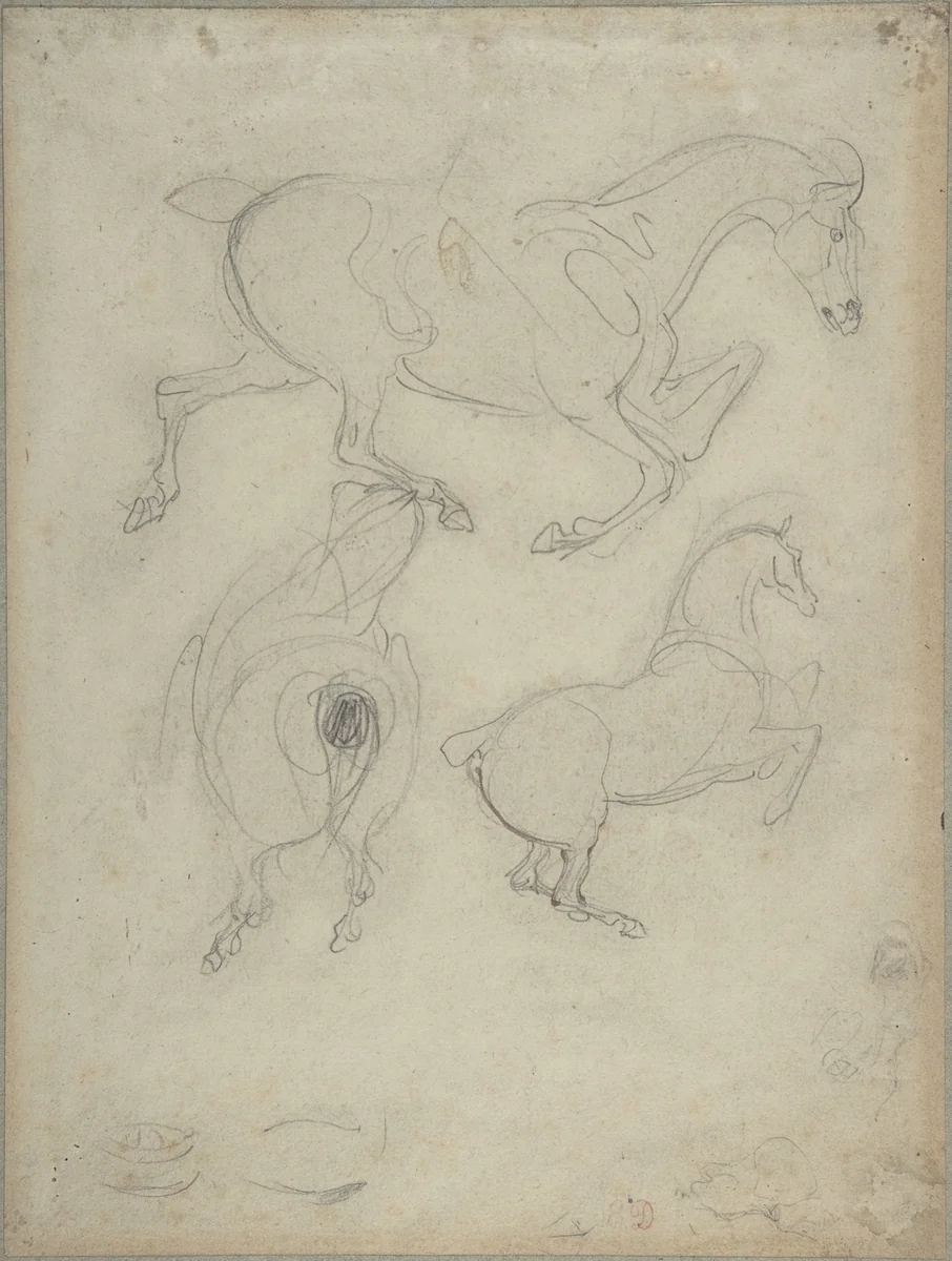 Studies of Horses by Eugène Delacroix, drawing, 1798-1863