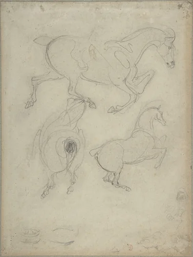 Studies of Horses by Eugène Delacroix, drawing, 1798-1863