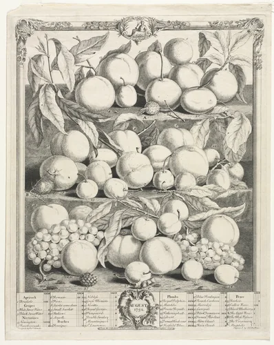 Twelve Months of Fruit: August by Henry Fletcher, print, 1732