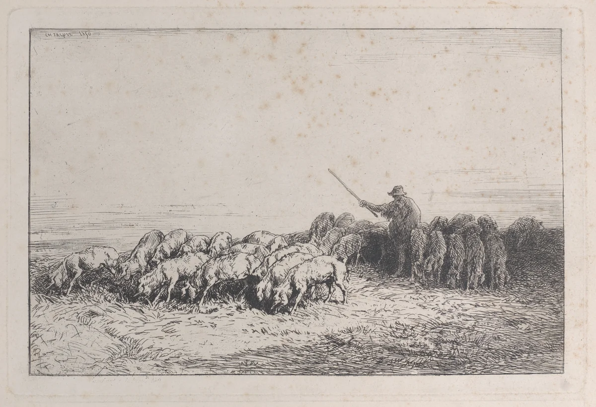 A Herd of Pigs by Charles Jacque, print, 1850