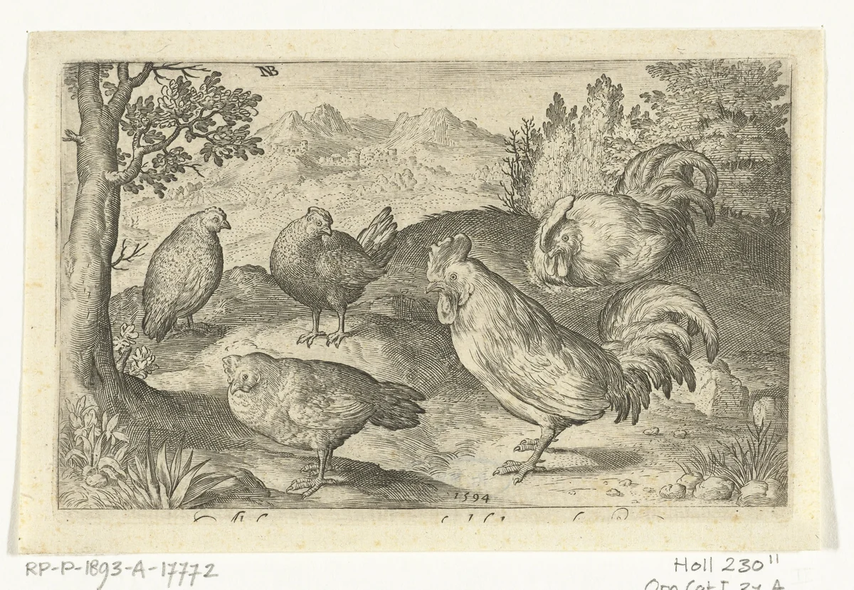 Drie kippen en twee hanen by Unknown, print, 1594