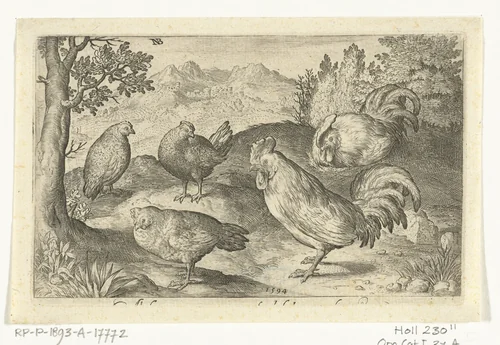 Drie kippen en twee hanen by Unknown, print, 1594