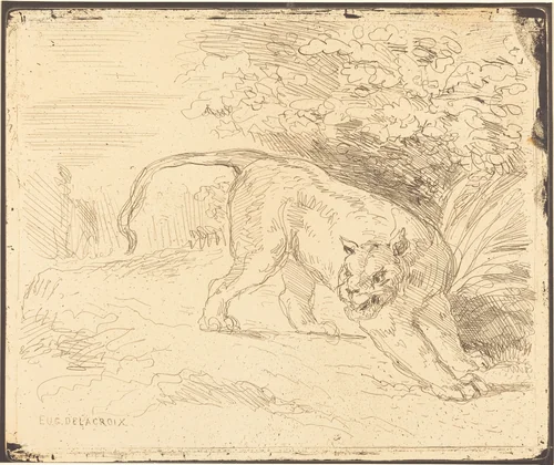 Tigre en arrêt by Eugène Delacroix, print, 1854
