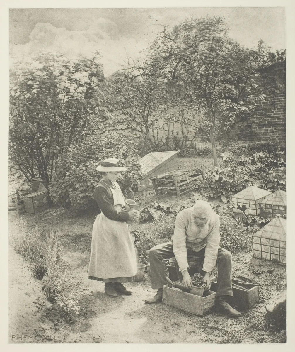 A Garden End (Suffolk) by Peter Henry Emerson, print, 1883-1887