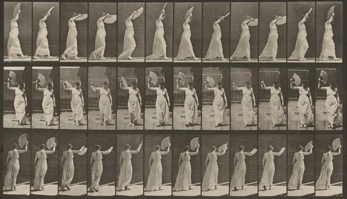 Plate Number 41. Walking; flirting a fan by Eadweard Muybridge, photograph, 1887