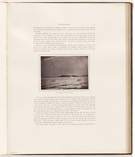 "Nearer view of the polar bears" by George P. Critcherson, John L. Dunmore, William Bradford, photograph, 1869