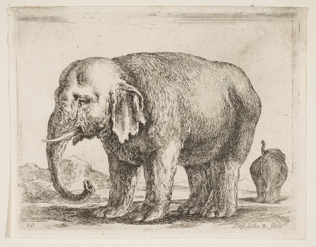 Elephant, plate 10 from "Various Animals" (Diversi Animali) by Stefano della Bella, print, 1636-1646