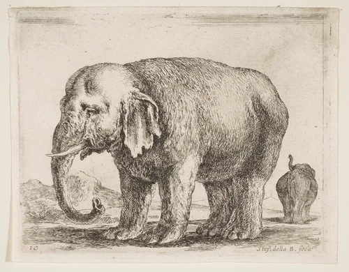 Elephant, plate 10 from "Various Animals" (Diversi Animali) by Stefano della Bella, print, 1636-1646